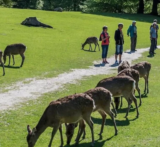 115 Apartamento Århus